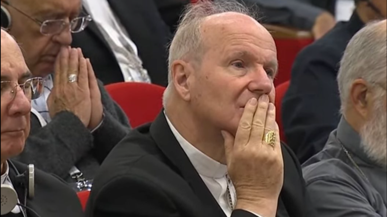 Cardenal Christoph Sch&ouml;nborn en una imagen del S&iacute;nodo de la sinodalidad.
