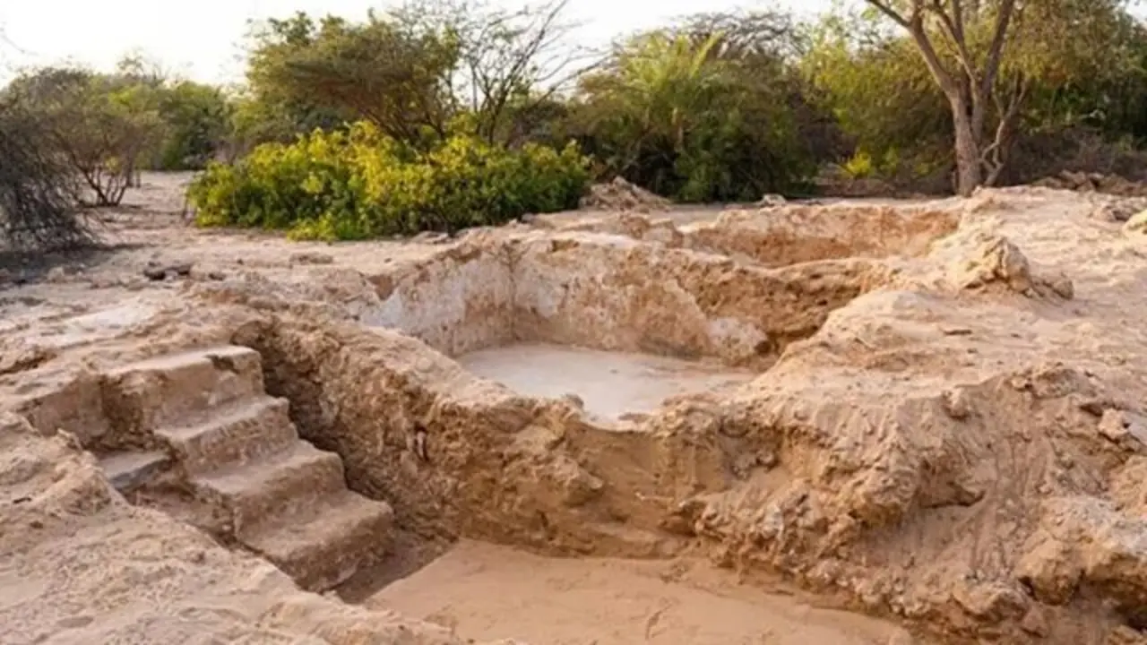Isla de Sir Bani Yas en Abu Dabi