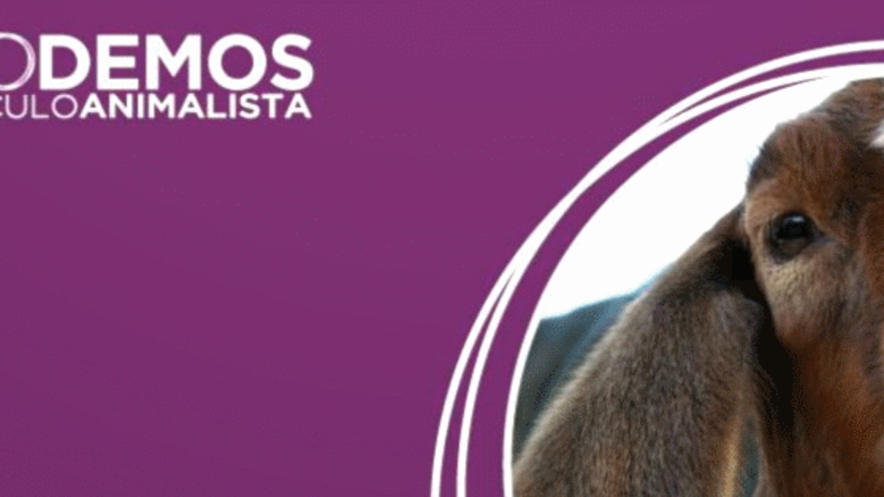 Logotipo del Círculo Animalista de Podemos. 