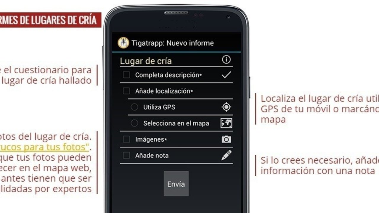 Una App española para 'cazar' mosquitos Tigre.