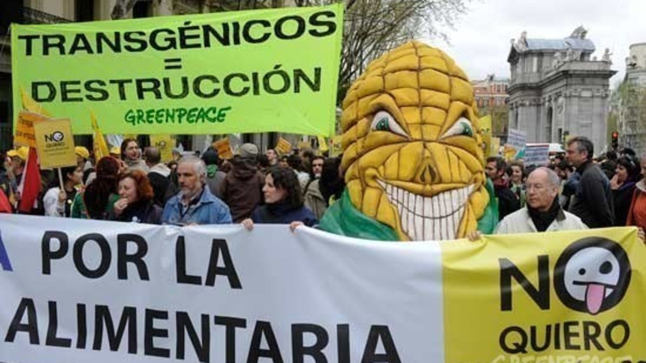 Manifestación de Greenpeace en contra de los transgénicos.