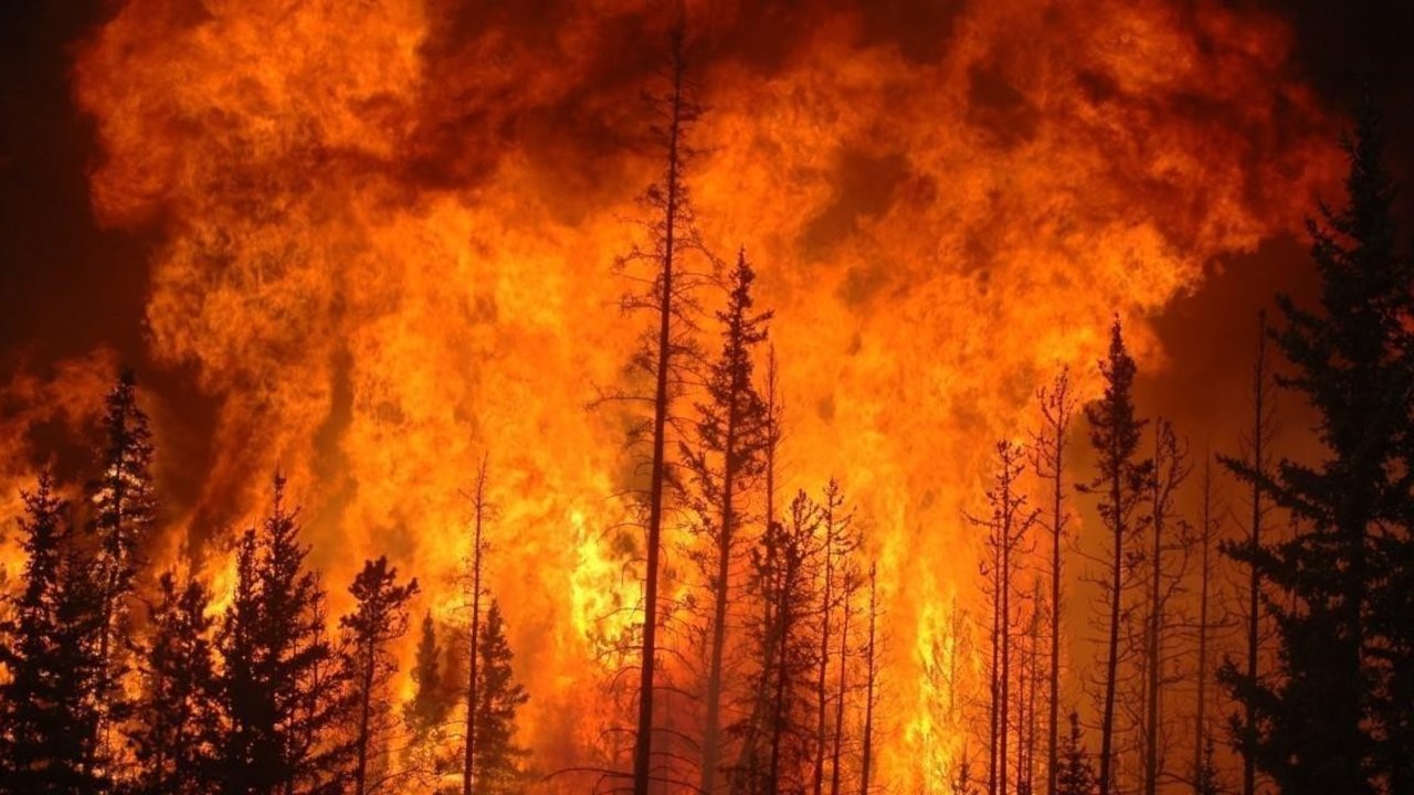Gran incendio forestal. 