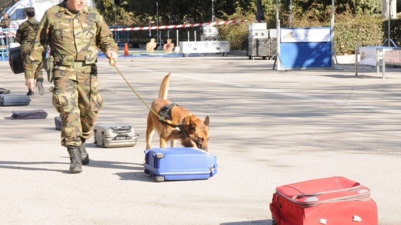Un infante de Marina con un perro detector de explosivos.