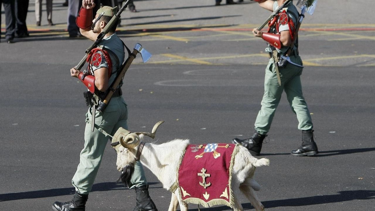La cabra de la Legión.
