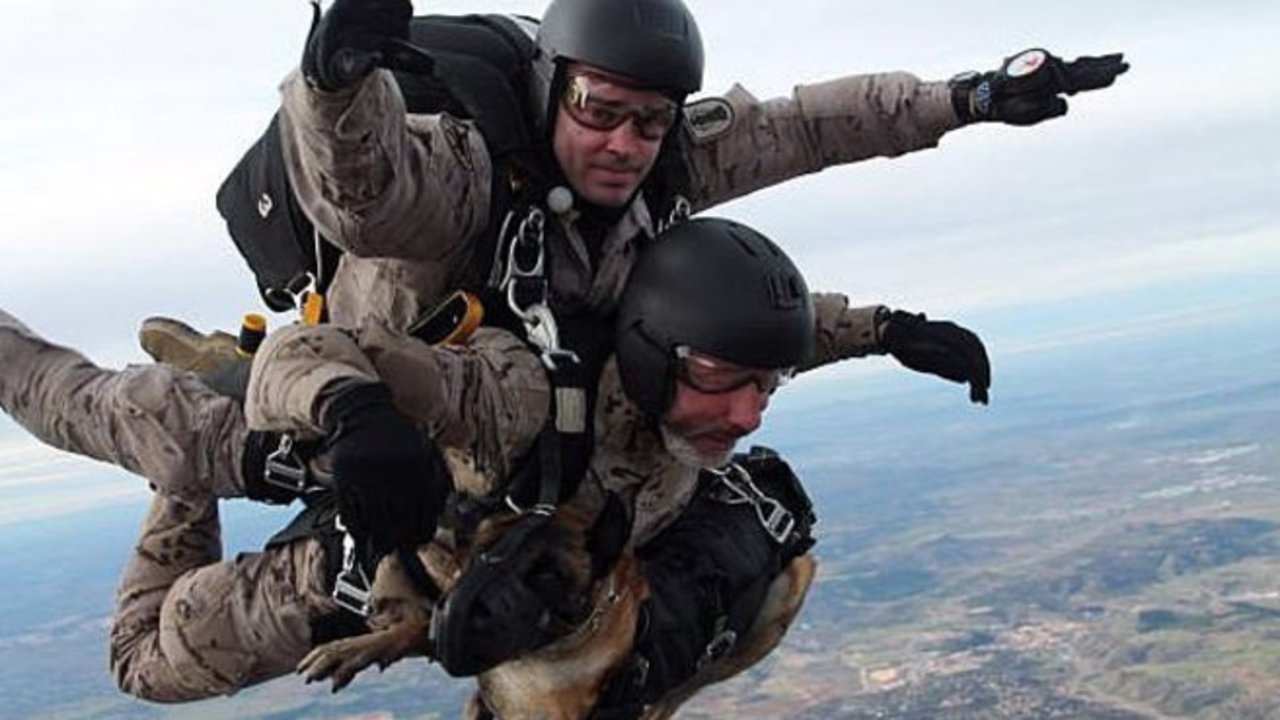 Paracaidistas del Ejercito de Tierra con perros en tándem.