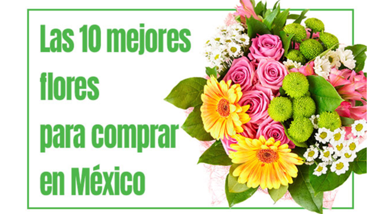 Las 10 mejores flores para comprar en México