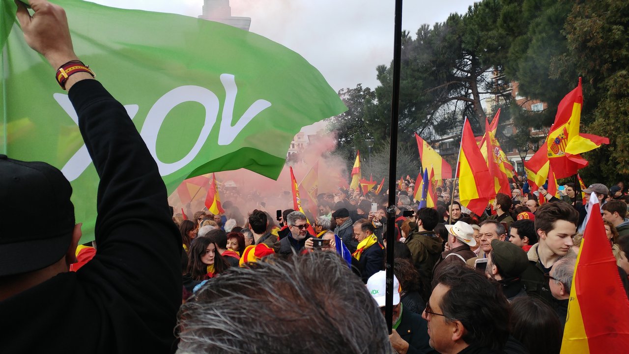 Bandera de Vox en la manifestación del 10 de febrero en la Plaza de Colón de Madrid.
