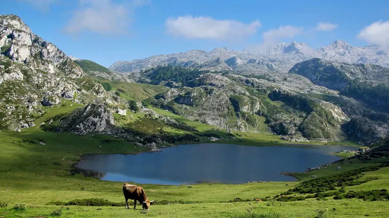 Los Picos de Europa. Lagos de Covadonga - Wikipedia