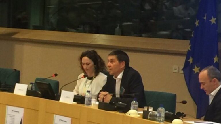 Arnaldo Otegi en el Parlamento Europeo.