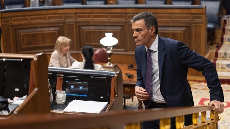 El presidente del Gobierno, Pedro S&aacute;nchez, durante una sesi&oacute;n plenaria, en el Congreso de los Diputados,