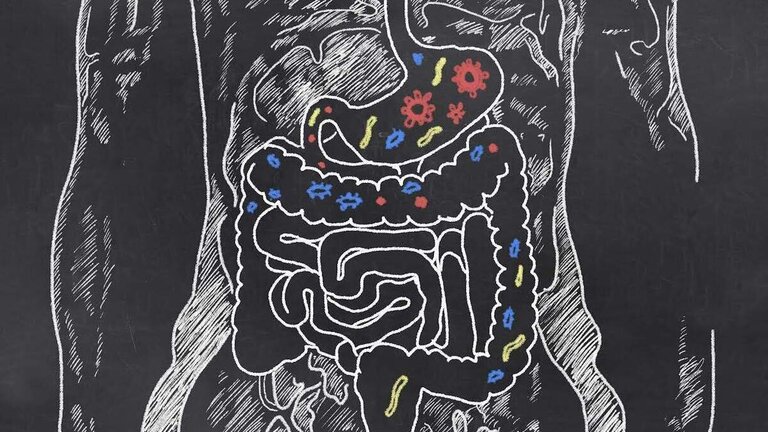 El secreto para transformar la salud est&aacute; en la microbiota