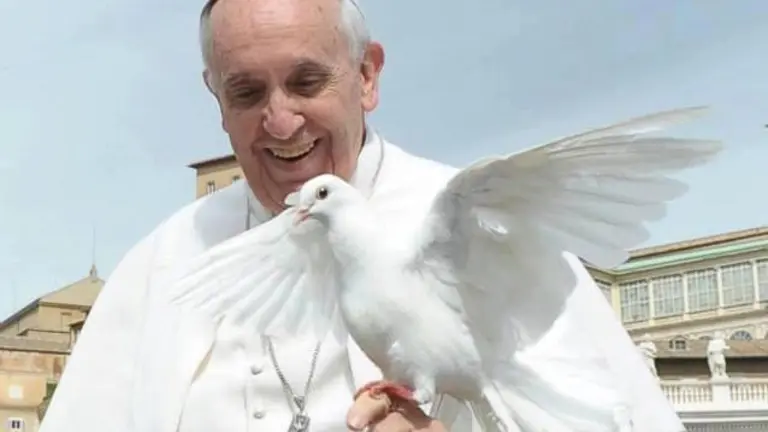 El Papa Francisco con una paloma.