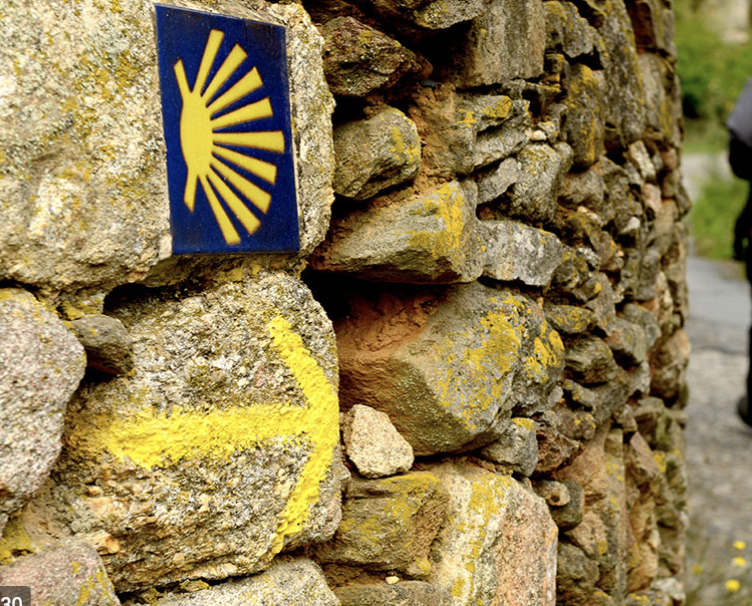 Concha del Camino de Santiago.