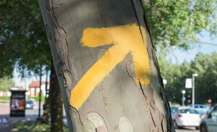 Flecha característica del Camino de Santiago que marca la dirección de la ruta.