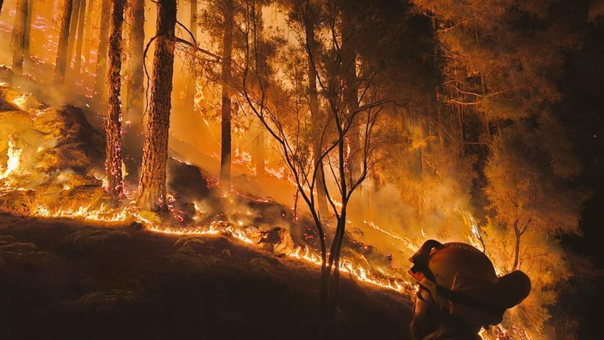 La Asociación para la Conservación de la Biodiversidad Canaria reclama un plan de restauración urgente para Tenerife