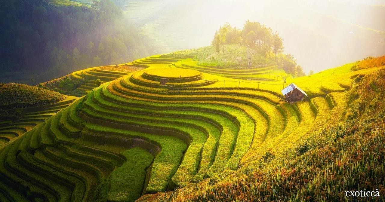 Vietnam