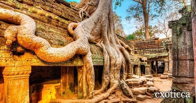 Ta Prohm