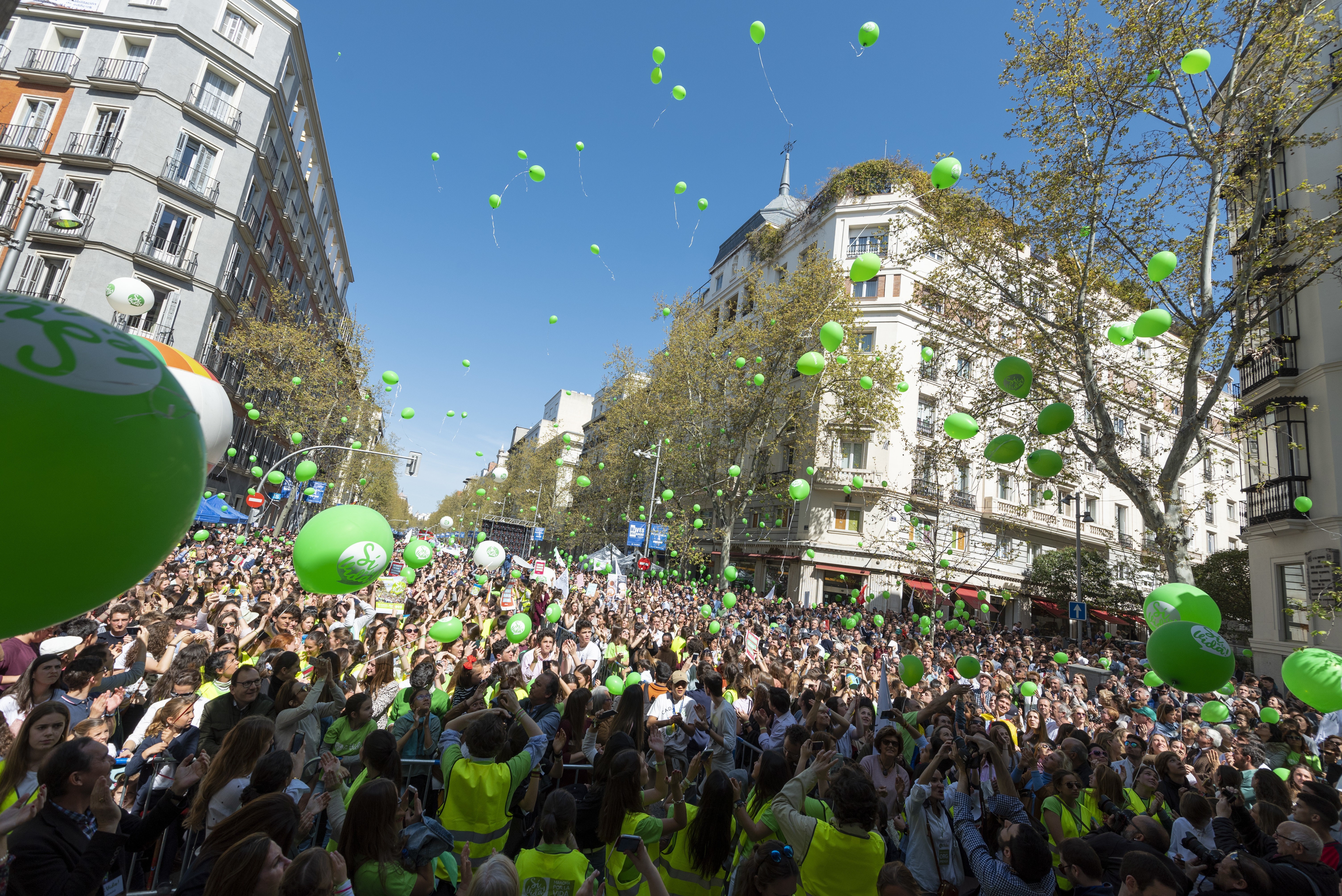 Marcha por la vida 2019 - Foto: Álvaro García Fuentes