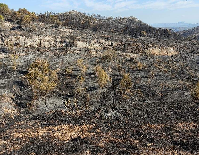 Diputación de Alicante ofrecerá anticipos a los ayuntamientos afectados por el incendio de Vall d&#39;Ebo