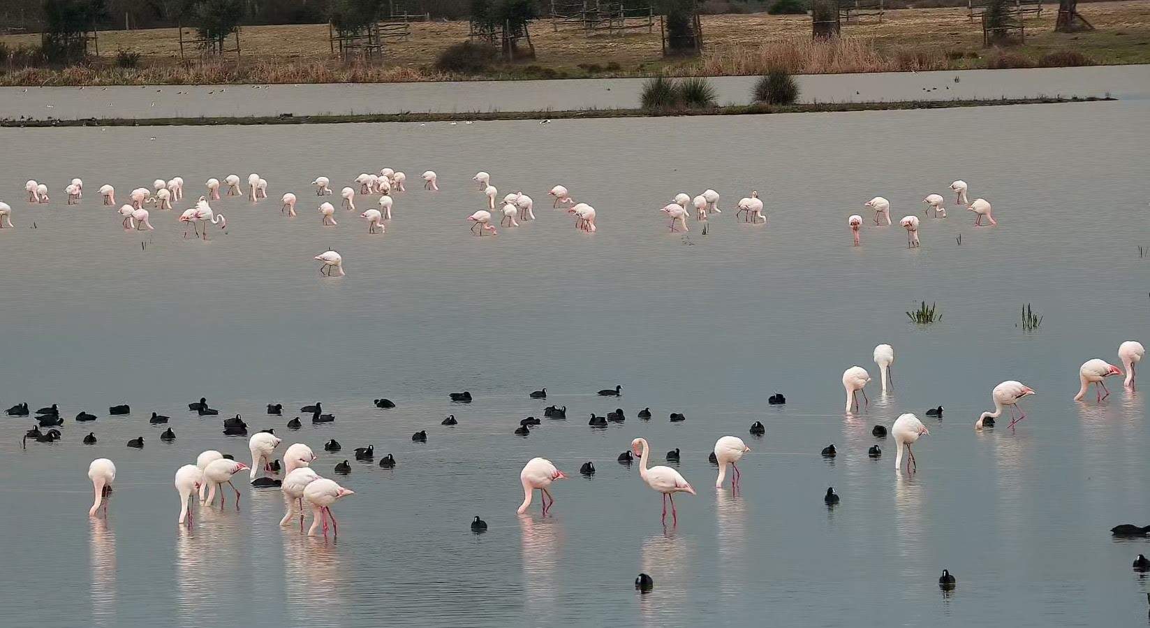 Parque Nacional de Doñana, en imagen de archivo