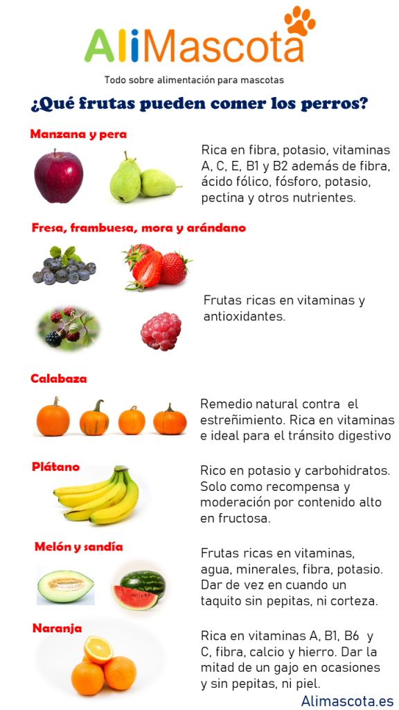 Frutas que pueden comer los perros.