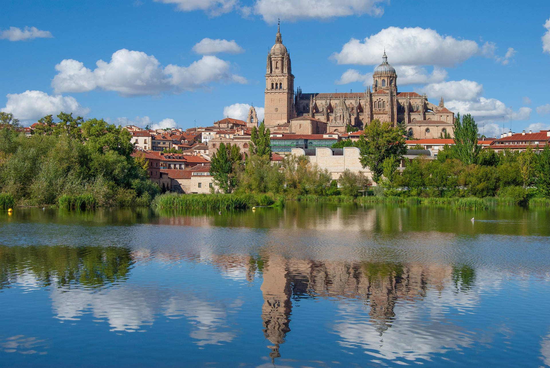 Salamanca. Fuente | Wikipedia.