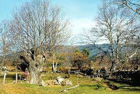 Las Rozas de Puerto Real. Fuente |Wikipedia Commons.
