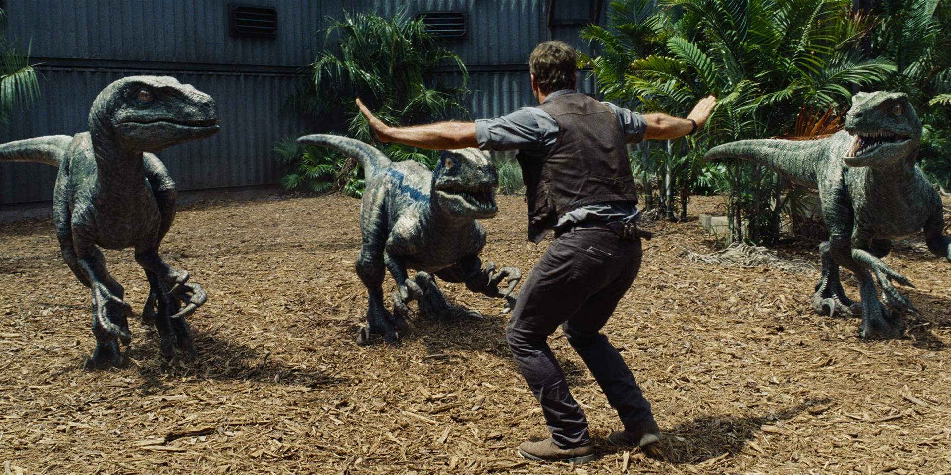 Chris Pratt en Jurassic World. Fuente |Flickr.