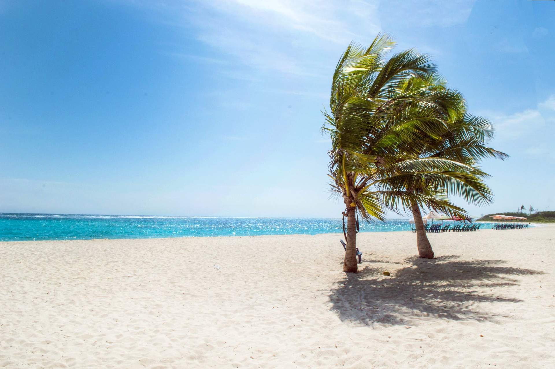7 remedios caseros para broncear tu piel este verano.