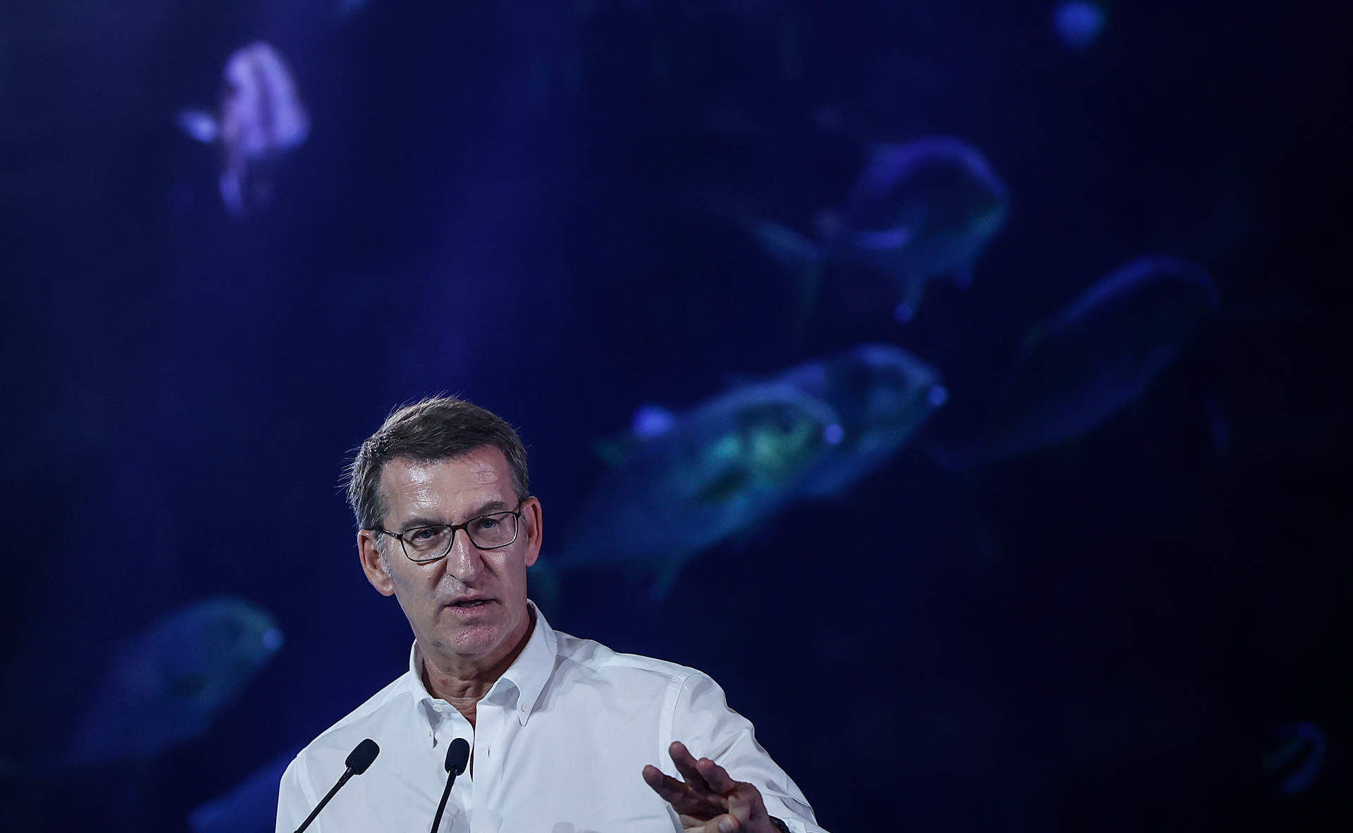 El presidente del PP y candidato del partido a la presidencia del Gobierno, Alberto Núñez Feijóo, interviene durante un mitin central del Partido Popular, a 20 de julio de 2023, en Valencia.