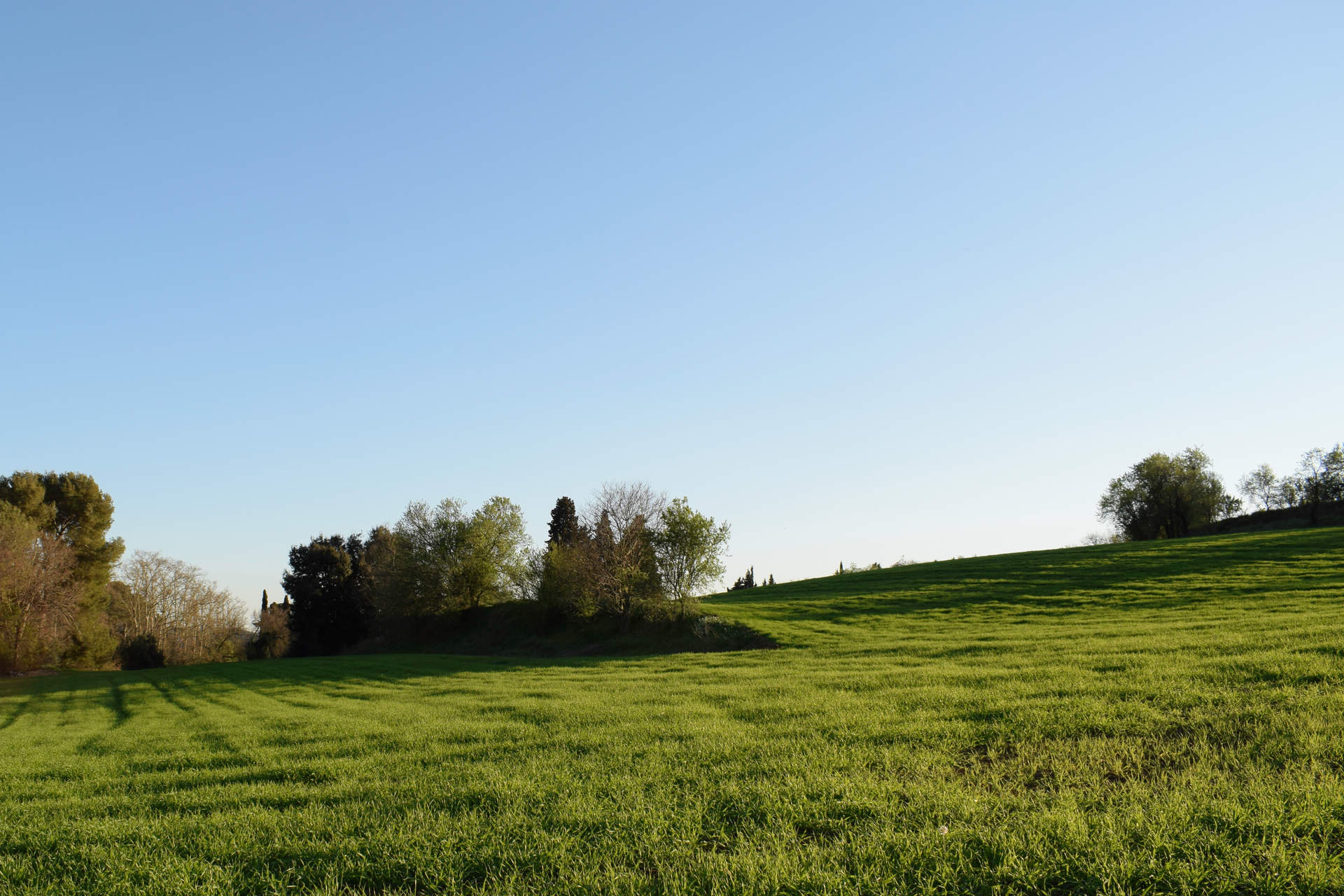 Los campos de Granollers. Fuente |Flickr.