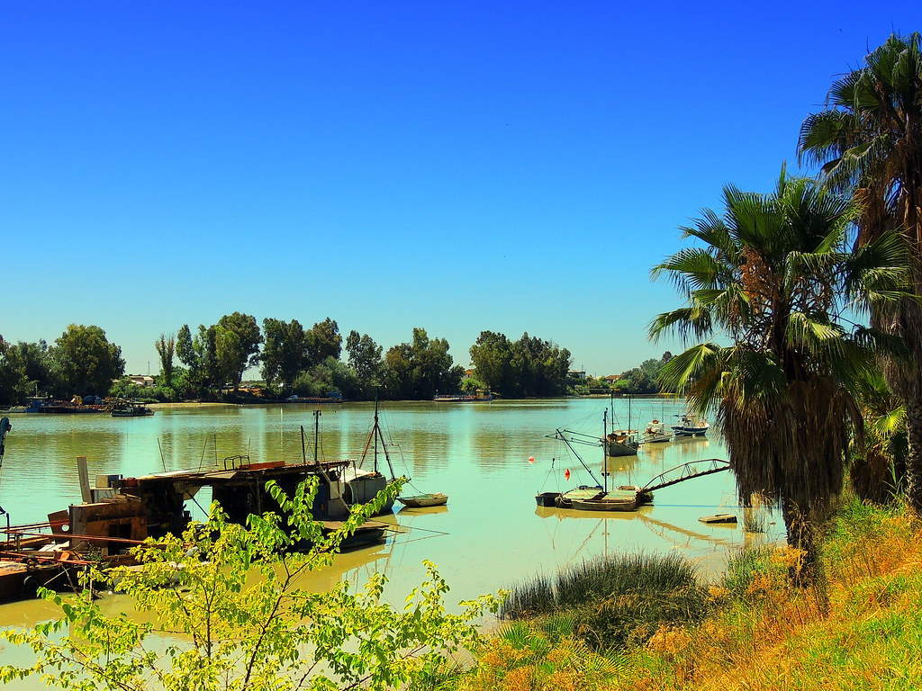 Planes gratis para hacer en Coria del Río.