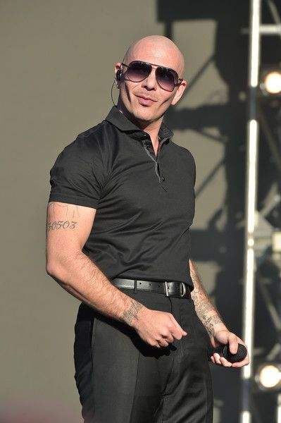 Pitbull, showman