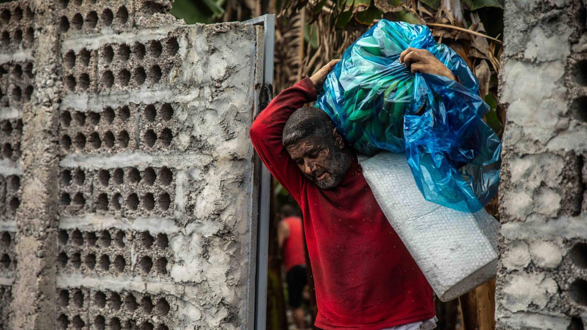 Un agricultor trata de salvar sus plátanos en una finca de Fuencaliente, a 9 de noviembre de 2021, en La Palma. Kike Rincón / Europa Press