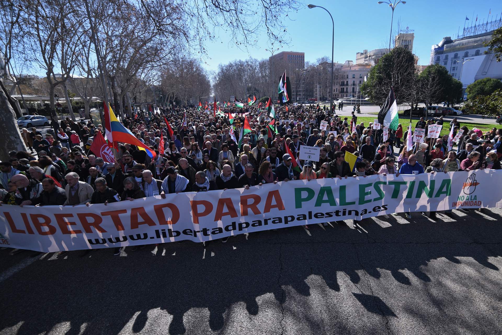 Óscar Puente y los cinco ministros de Sumar participan en una manifestación en Madrid de apoyo a Palestina