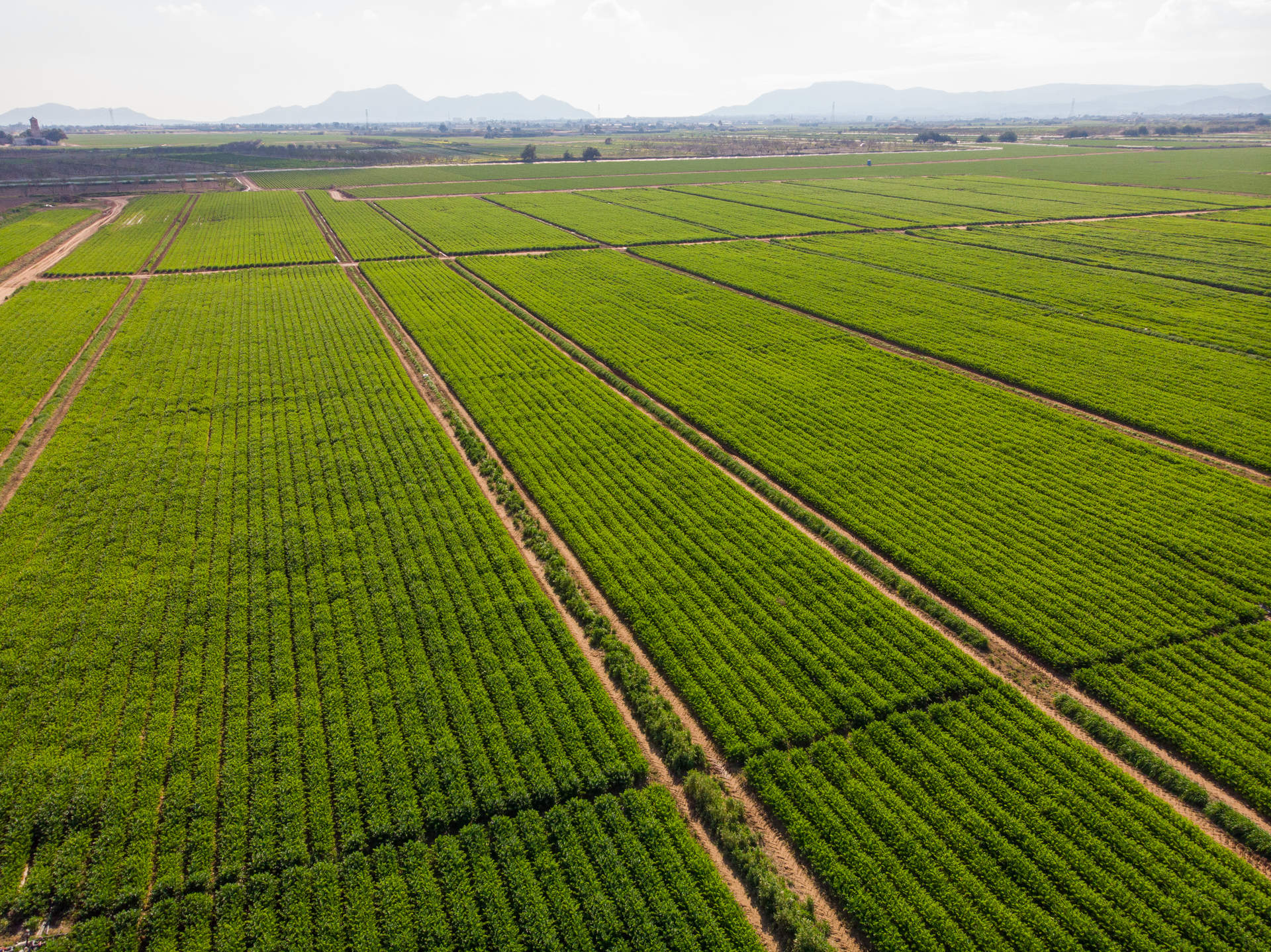 YDRAY-DJI_0621-(1)
