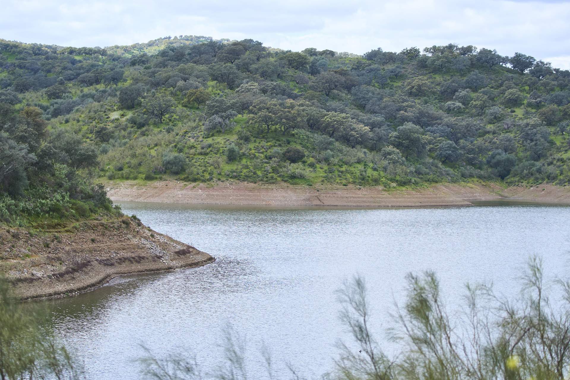 Los comités de sequía de varias provincias andaluzas evaluarán la próxima semana su situación tras las últimas lluvias