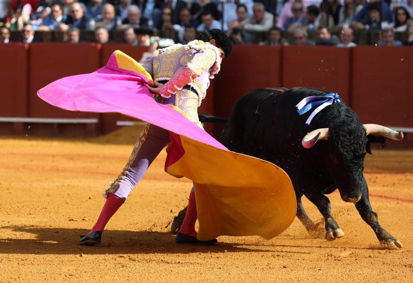 Vox Baleares registrará la próxima semana la ley para que los menores puedan ir a las corridas de toros