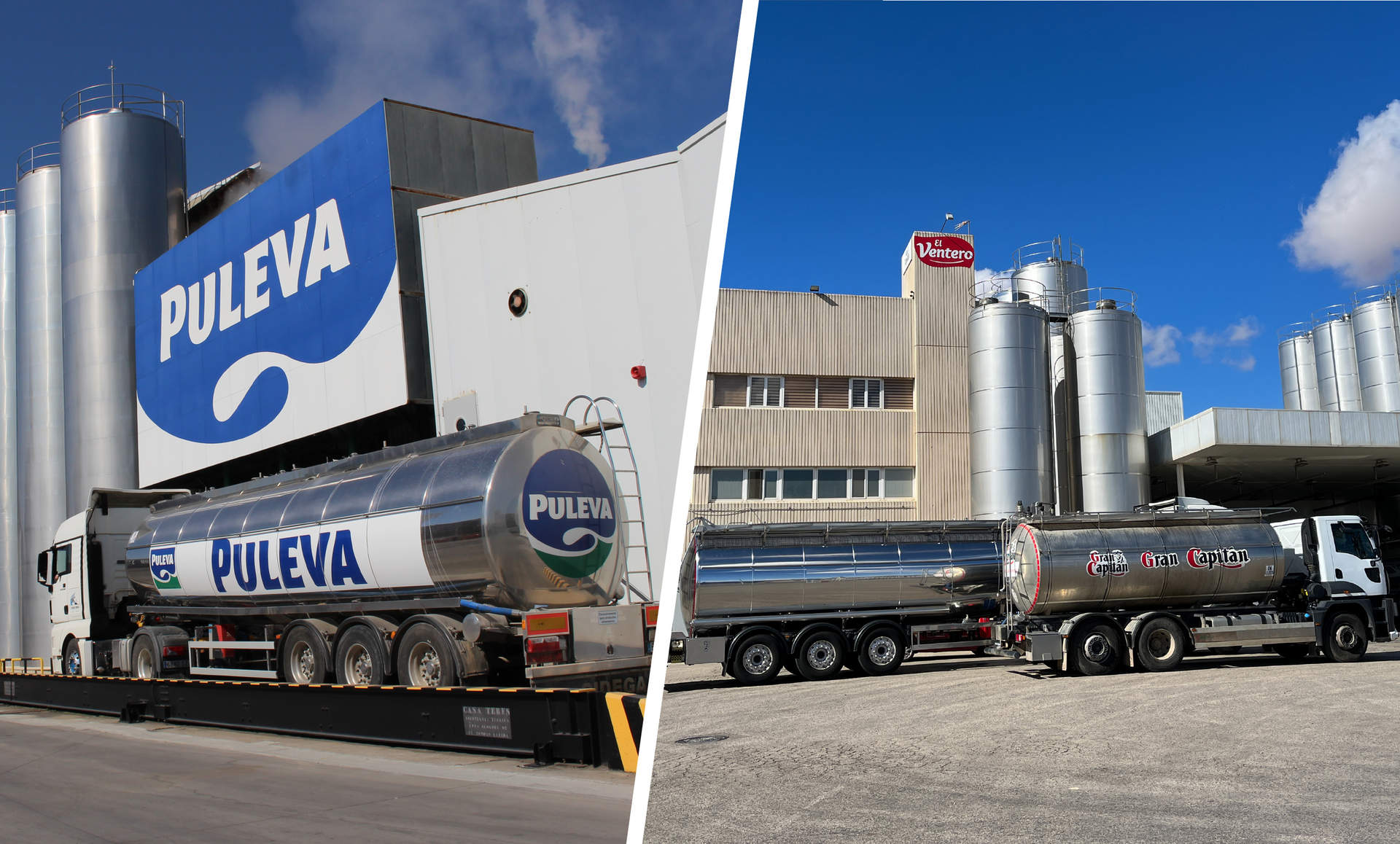 Lactalis España recoge un 5,15% más de leche en 2023 y prevé superar los 1.000 millones de litros en 2024