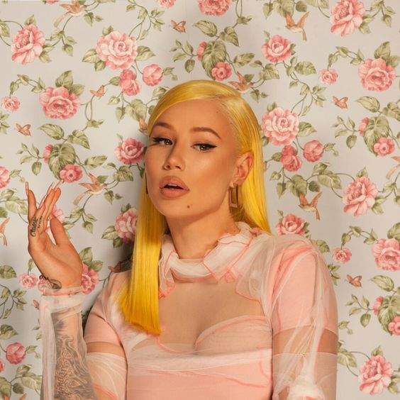 El cambio de Iggy Azalea: Antes y después