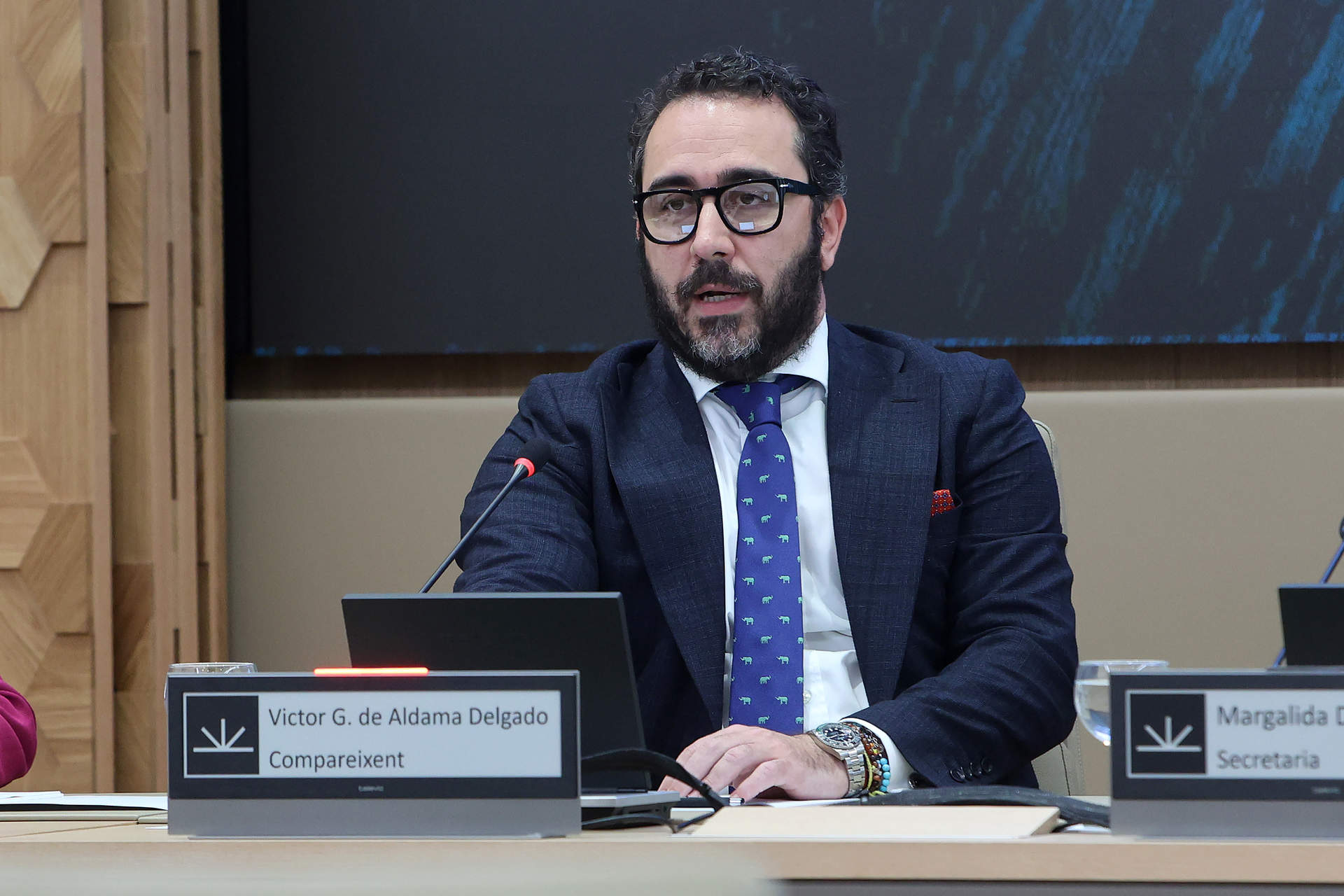 El presidente del Zamaro CF, Víctor de Aldama, comparece ante la comisión no permanente de investigación en el Parlament balear. Foto: Isaac Buj / Europa Press