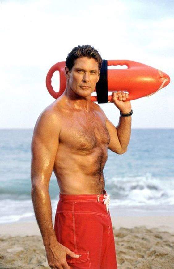 El cambio de David Hasselhoff: Antes y después