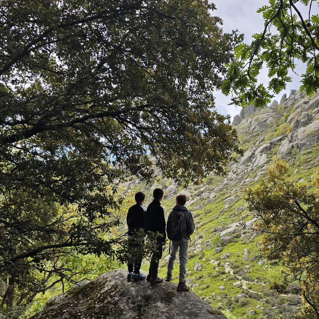 ¿Cuáles son las actividades que más se realizan en Las Rozas?