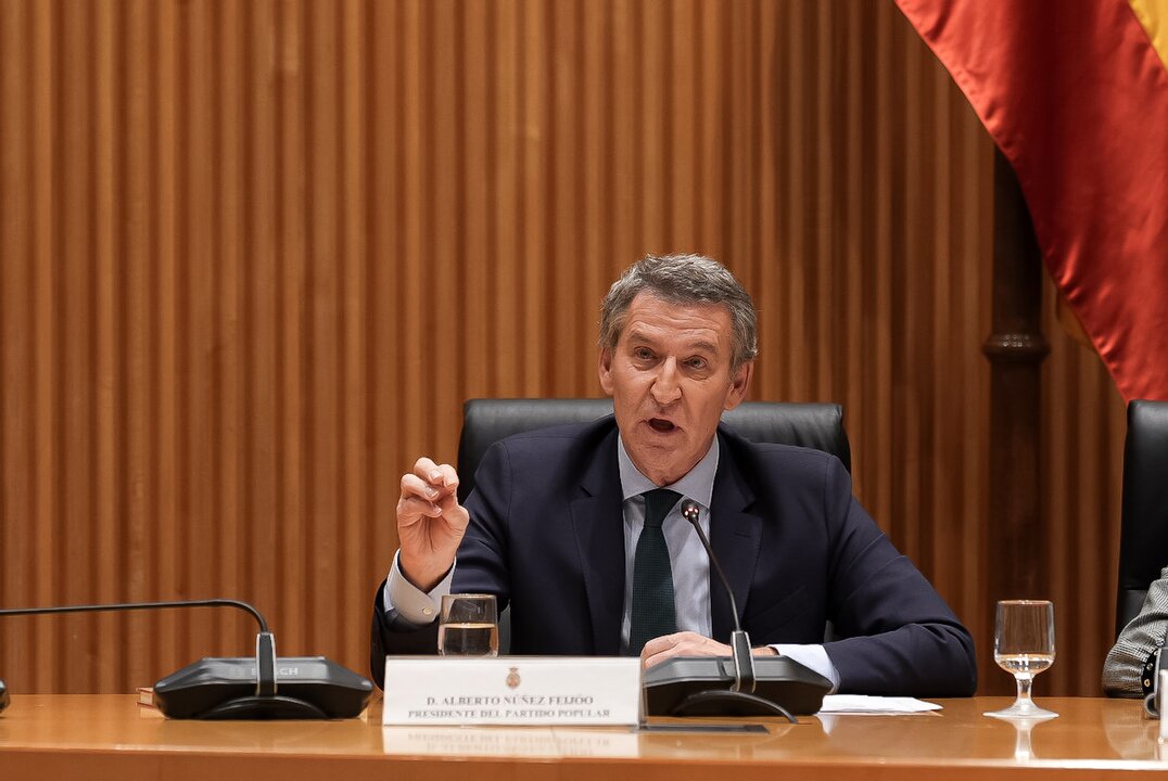 El presidente del Partido Popular, Alberto Núñez Feijóo, en el Congreso de los Diputados, a 23 de enero de 2025, en Madrid.