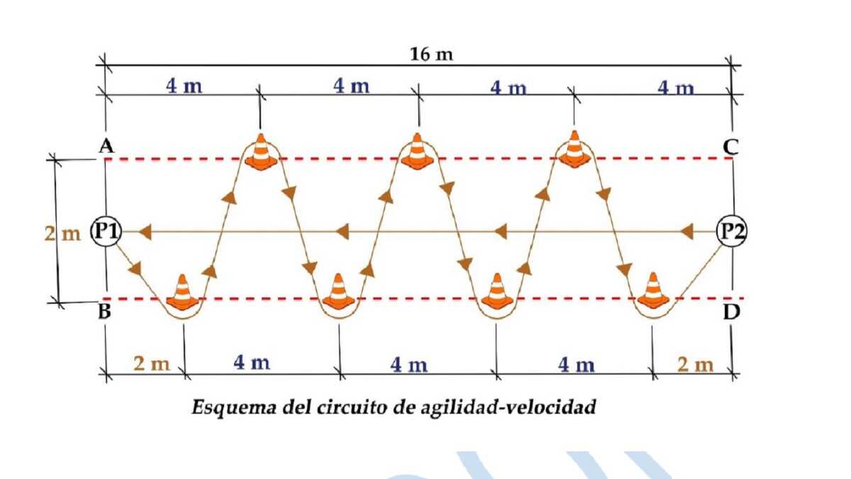 Circuito de agilidad-velocidad.