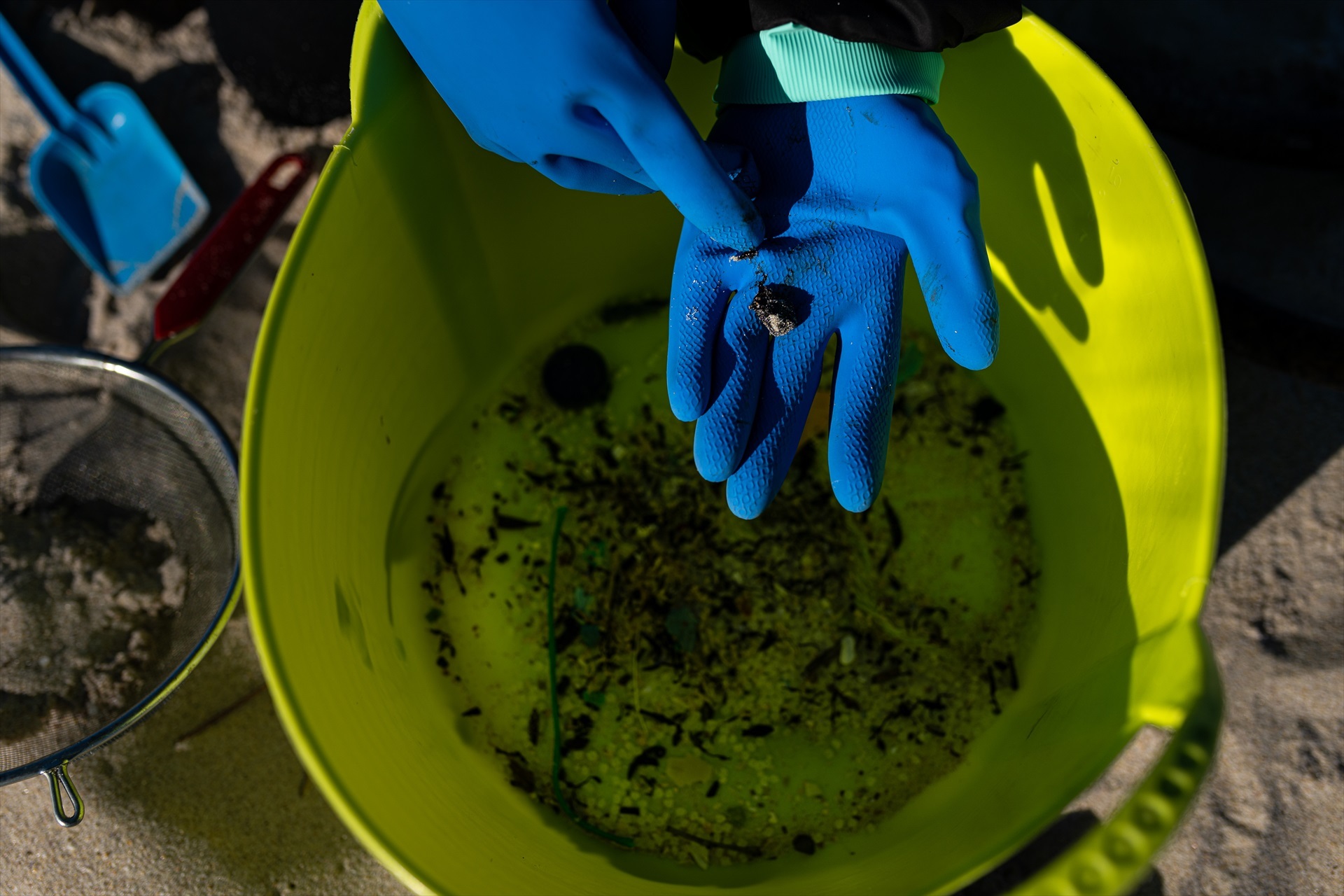 Voluntarios hacen una recogida de pellets de la arena, Galicia, a 7 de enero de 2024, en A Coruña, Galicia (España).