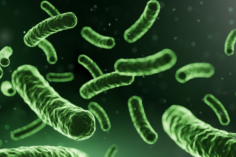 Ciencia Detrás de los Probióticos